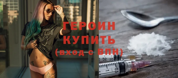 прущие грибы Ельня