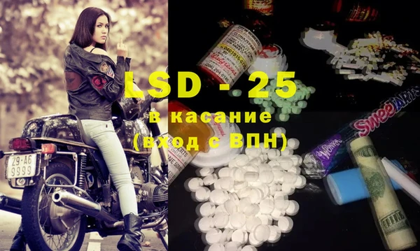 ПСИЛОЦИБИНОВЫЕ ГРИБЫ Дмитров