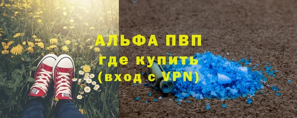 ПСИЛОЦИБИНОВЫЕ ГРИБЫ Дмитров