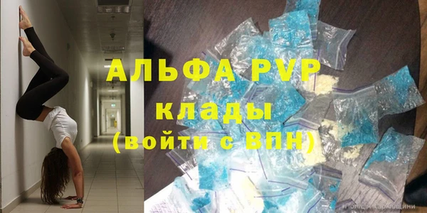 прущие грибы Ельня