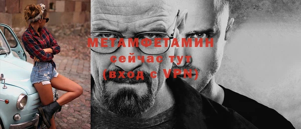 прущие грибы Ельня