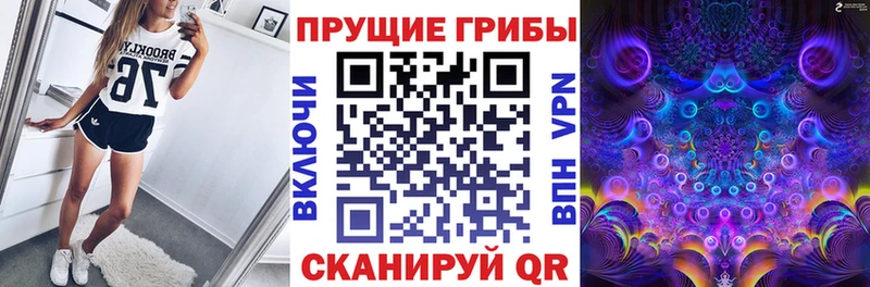 Галлюциногенные грибы мицелий  Иланский 